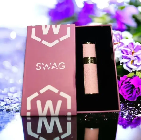 SWAG一代皮革主機